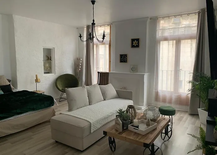 Le Green & Peace Centre Historique, En Face Du Musee Du Pilori, A 2Mn A Pied De L\'Hyper Centre Et Proche Toutes Commodites, Wifi-Netflix