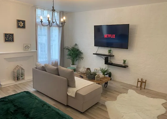 Le Green & Peace Centre Historique, En Face Du Musee Du Pilori, A 2Mn A Pied De L\'Hyper Centre Et Proche Toutes Commodites, Wifi-Netflix